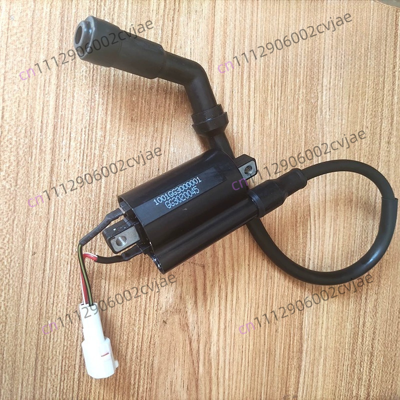 ZT310-V X T R1 2 حزمة الجهد ال - مراجعة Motorcycle Spark Plug وسعره